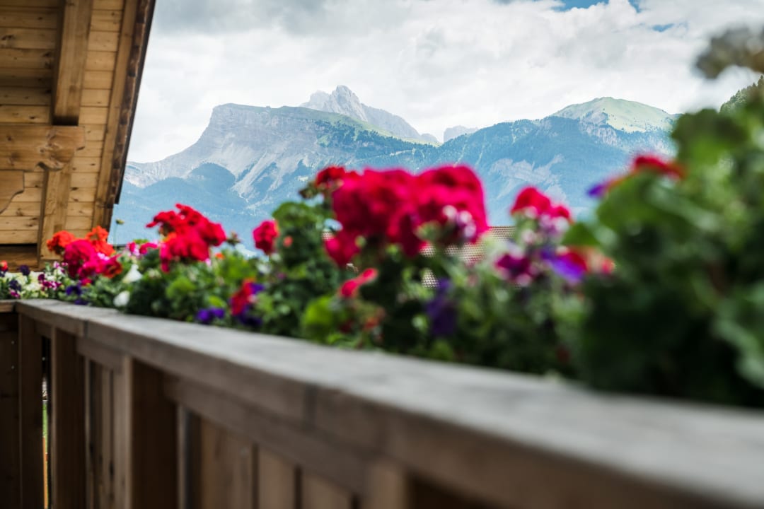 Ausblick Apartments Arbea