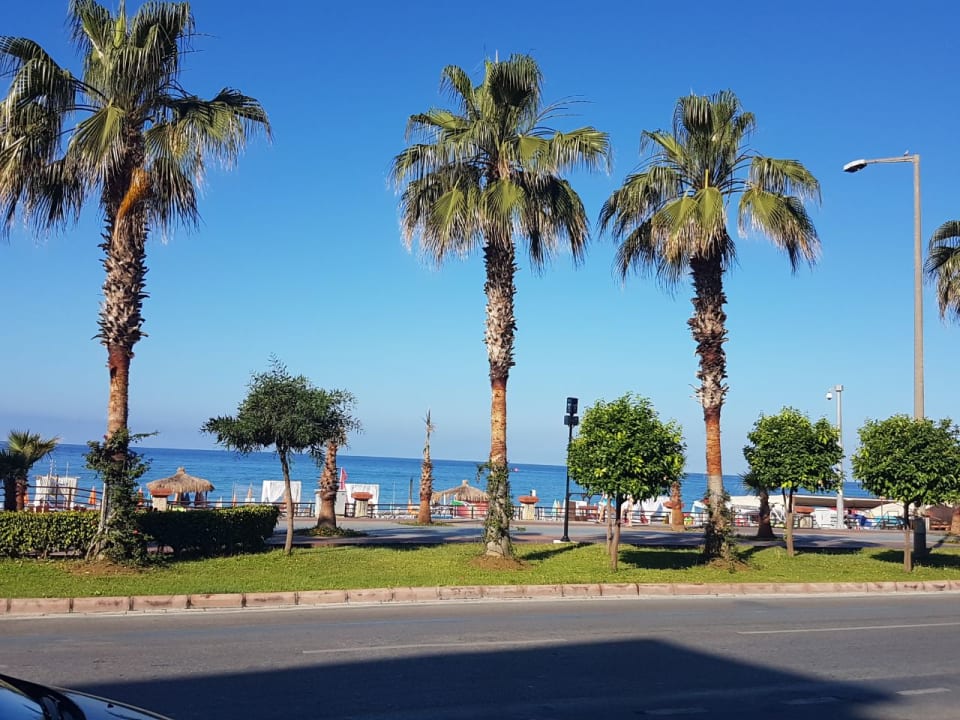 Ausblick Kleopatra Life Hotel