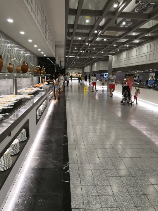 Gastro Royal Seginus