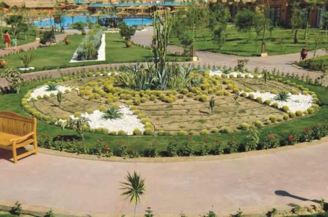 Kaktusbeet Pickalbatros Jungle Aqua Park Resort - Neverland Hurghada