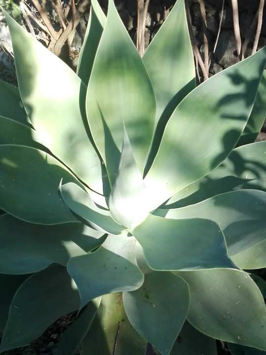 Gartenanlage Jardin Mariposa Retreat- und Seminarzentrum