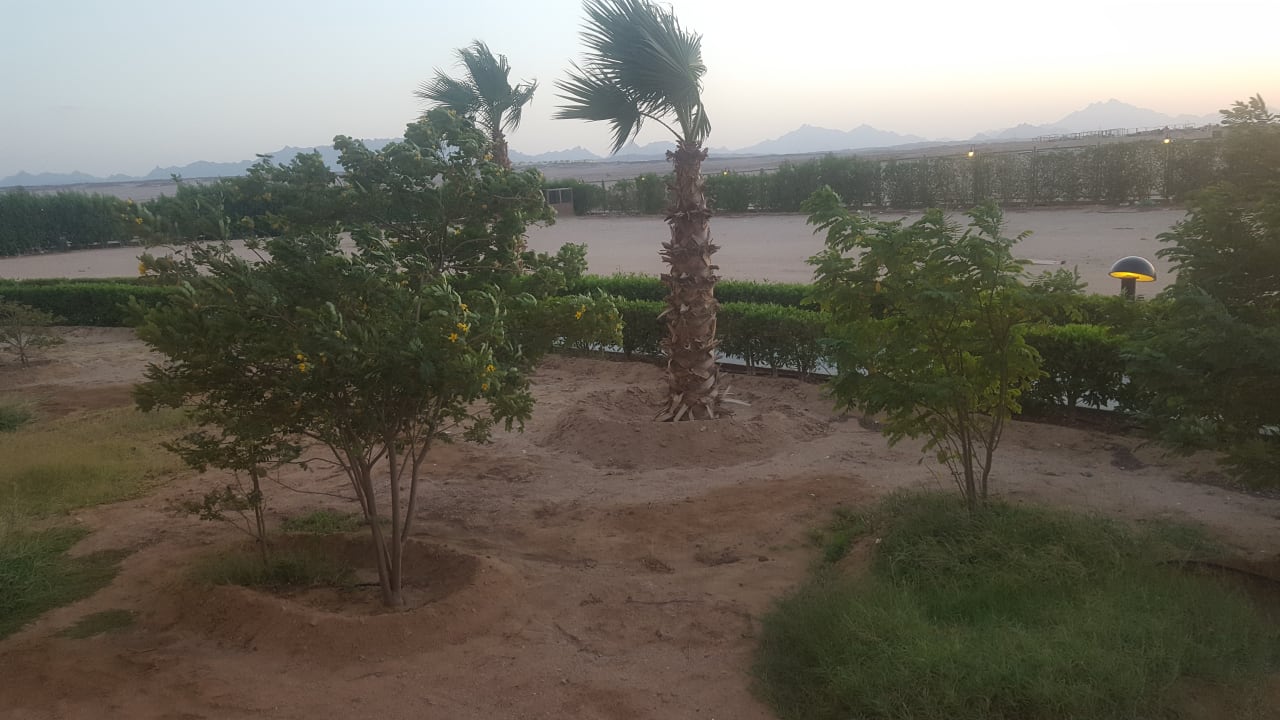 Ausblick Lemon & Soul Makadi Garden