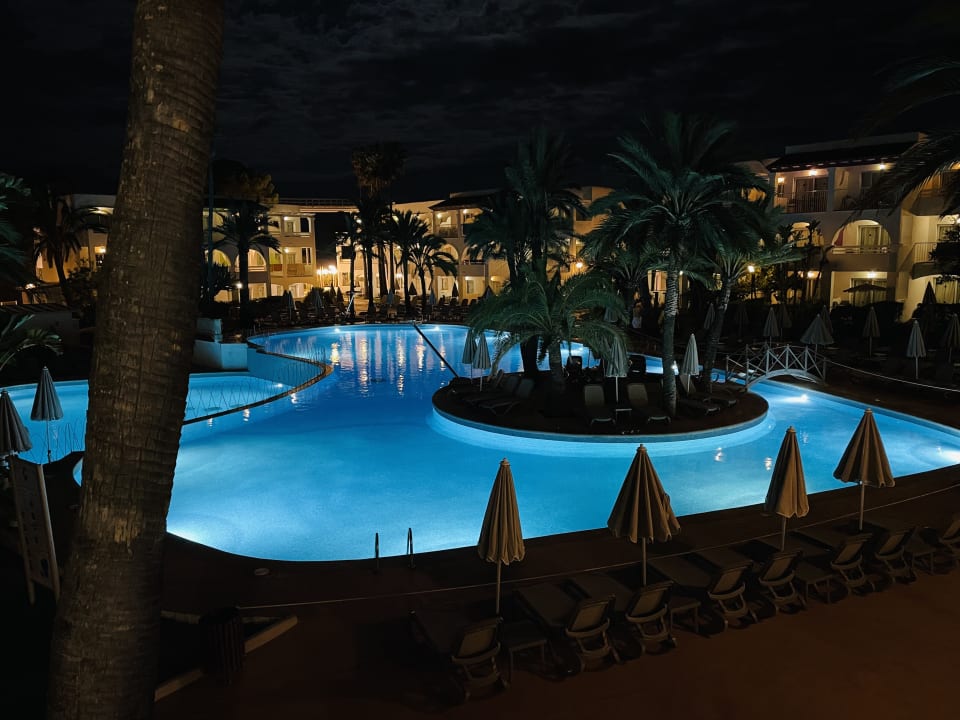 Pool Calimera Fido Gardens