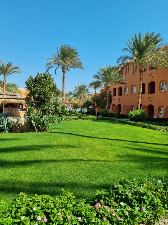 Gartenanlage Jaz Makadi Oasis Resort