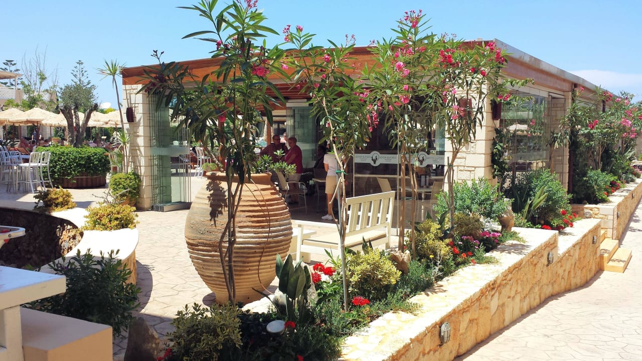 Gartenanlage Cactus Royal