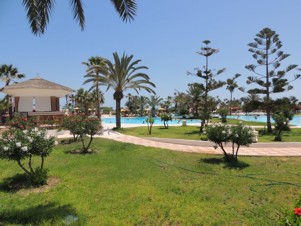 Les jardins et la piscine  Djerba Aqua Resort