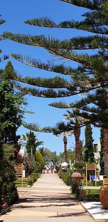 Gartenanlage Phãea Cretan Malia