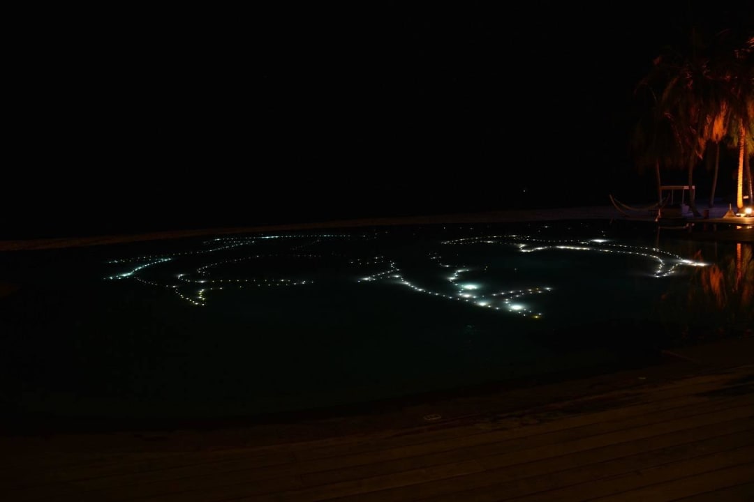 Pool bei Nacht Veligandu Maldives Resort Island