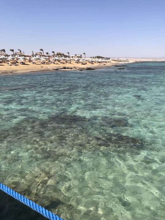 Strand Pickalbatros Sea World Resort - Marsa Alam