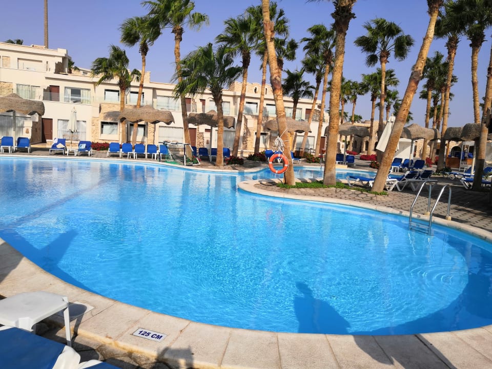 Pool Pickalbatros Citadel Resort