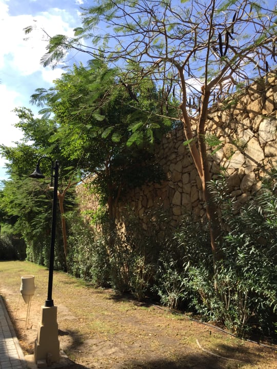 Gartenanlage Stella Beach Resort & Spa Makadi Bay