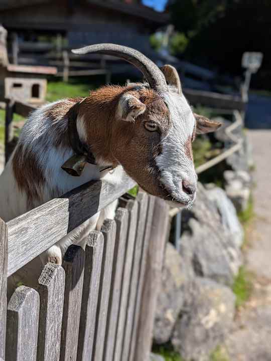 Gartenanlage Oberjoch - Familux Resort