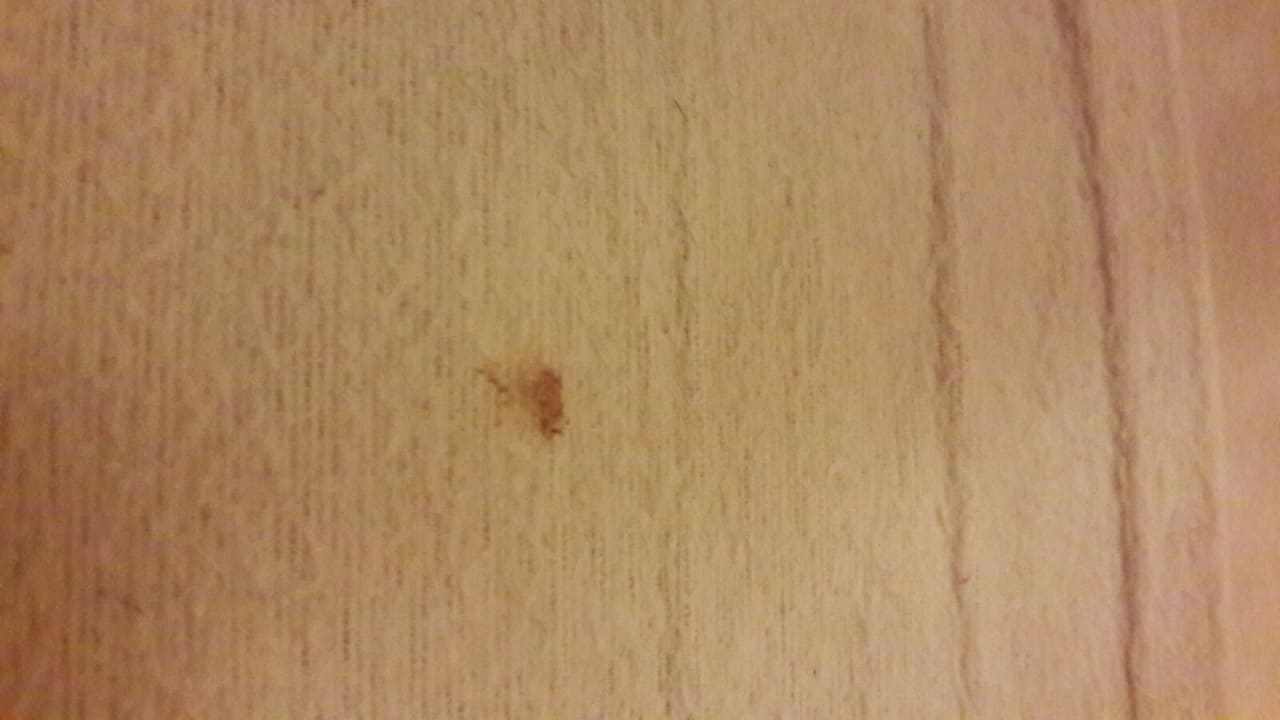 Zimmer Hotel Ü-Punkt