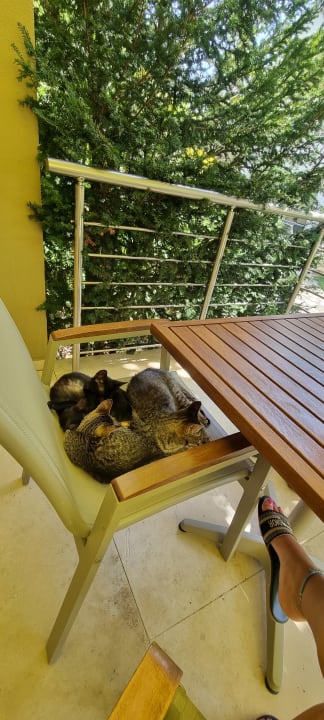 Zimmer Polyastron Place Hotel