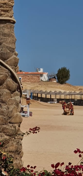 Strand Fantazia Resort Marsa Alam