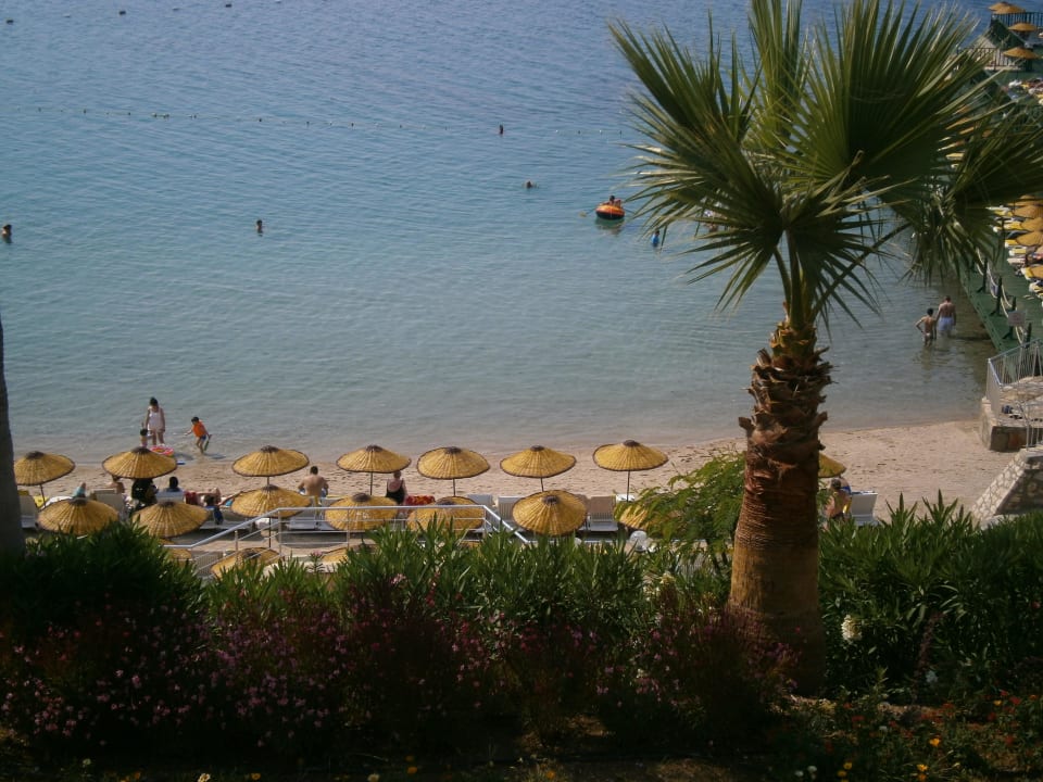Hotel Palm Wings Beach Resort Anadolu Hotels Didim Club