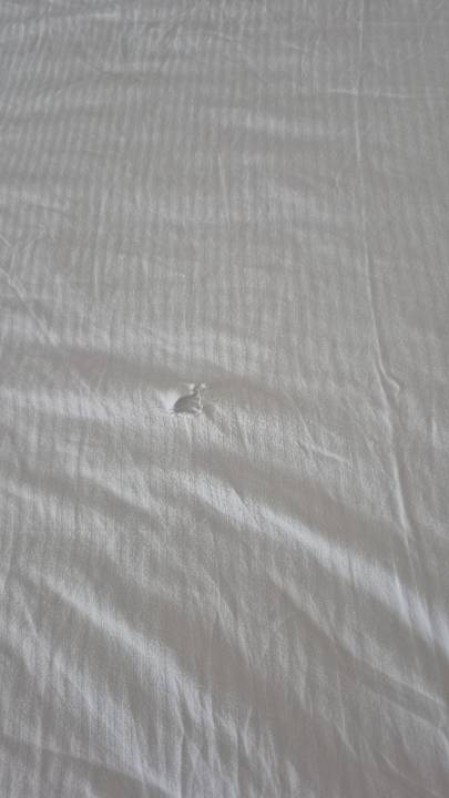 Zimmer Sherwood Exclusive Lara