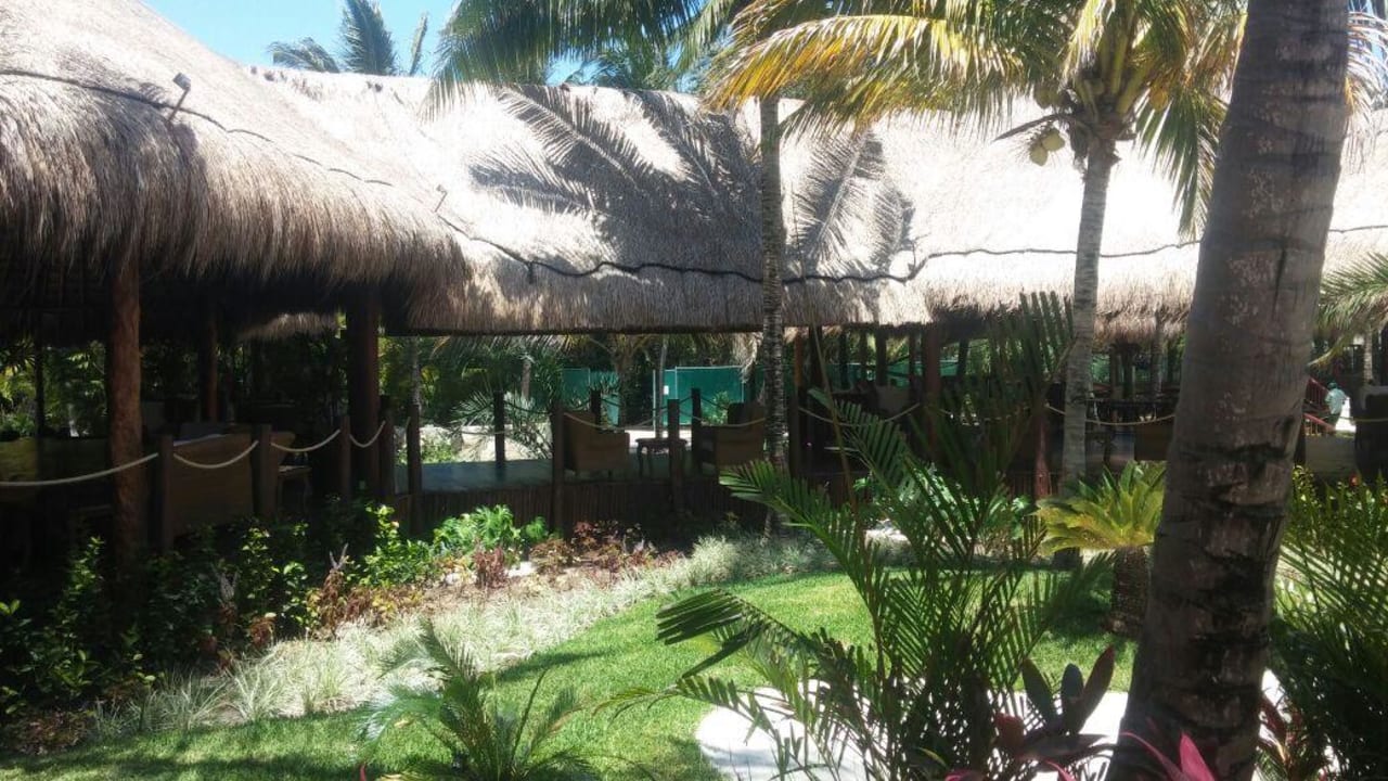 Lobby Akumal Bay Beach & Wellness Resort
