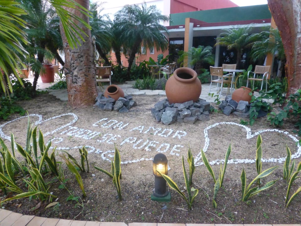 Garten nahe des Pools Hotel Jagua Affiliated by Meliá