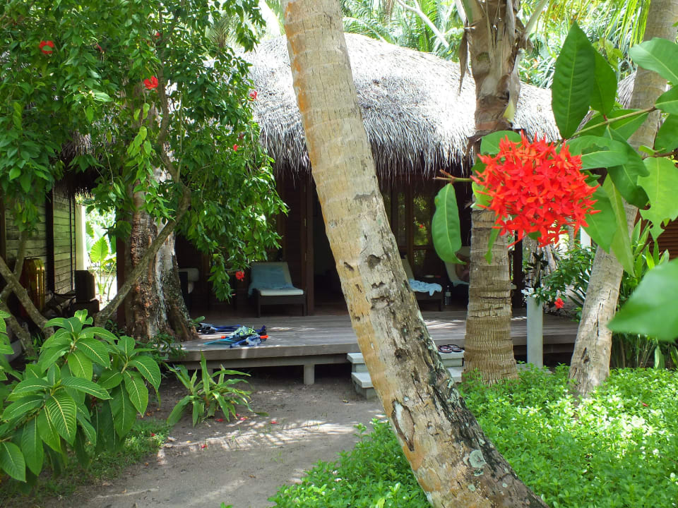 Traumbungi Kuramathi Maldives