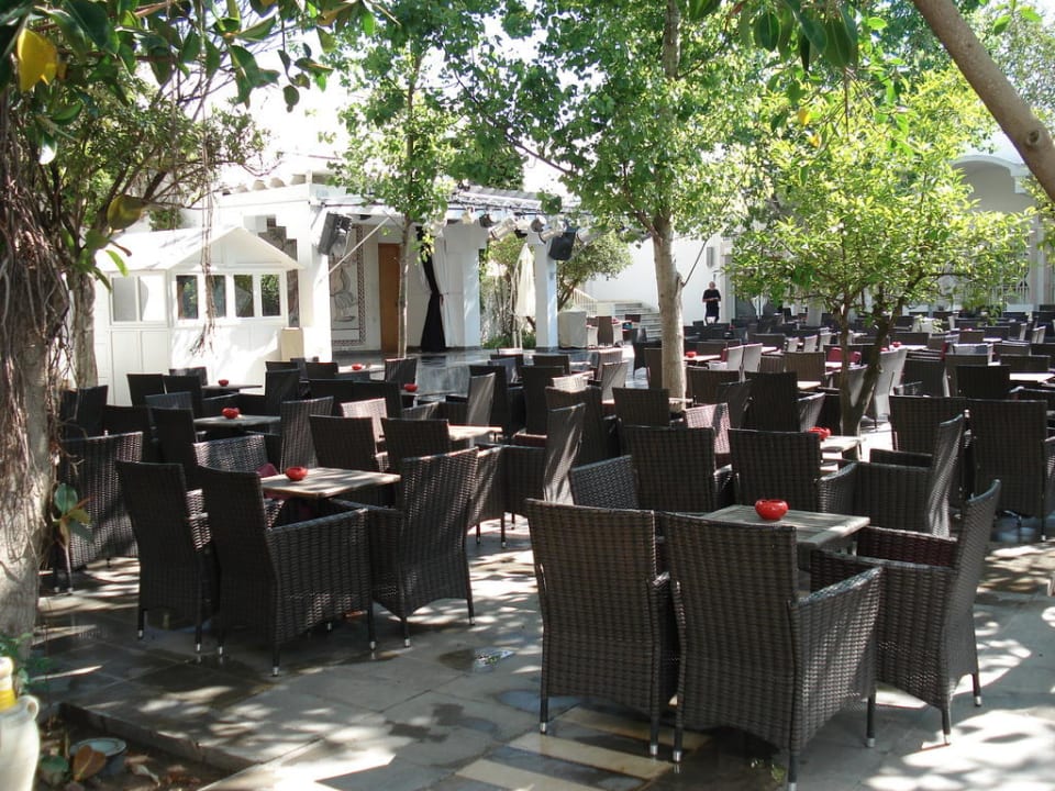 Sitzmöglichkeit in Hotelgelände Animation The Orangers Beach Resort and Bungalows