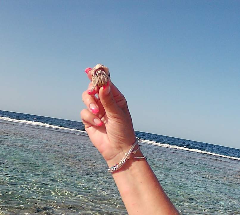 Strand Steigenberger Resort Alaya Marsa Alam - Red Sea - Adults only