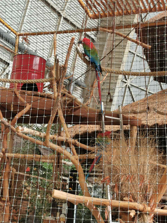 Gartenanlage Tropical Islands Resort