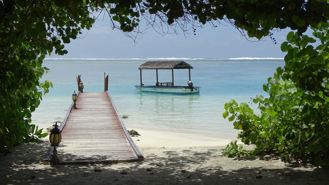 Weg zu den zwei alleine stehenden Watervillen Medhufushi Island Resort