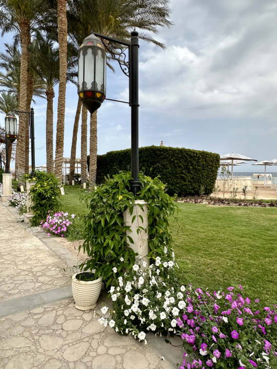 Gartenanlage Makadi Spa - Adults only