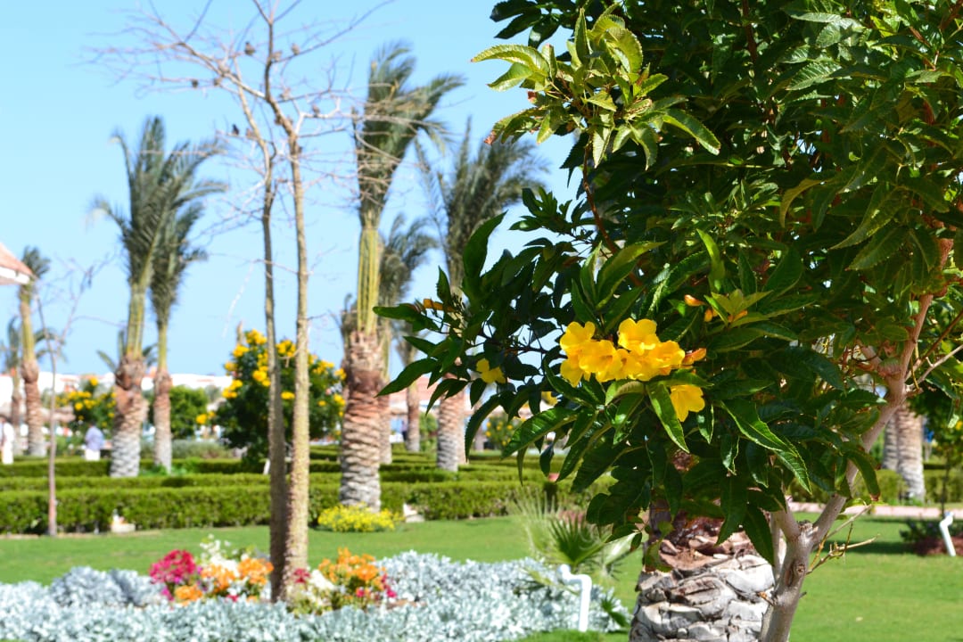 Gartenanlage Fantazia Resort Marsa Alam