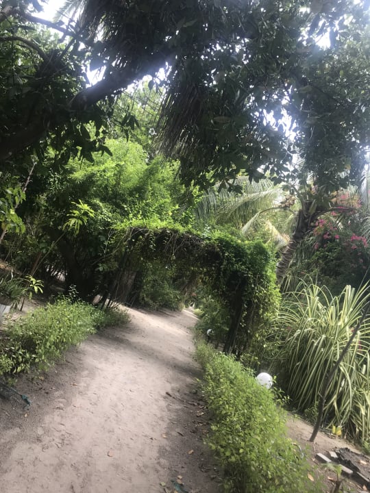 Gartenanlage Angaga Island Resort