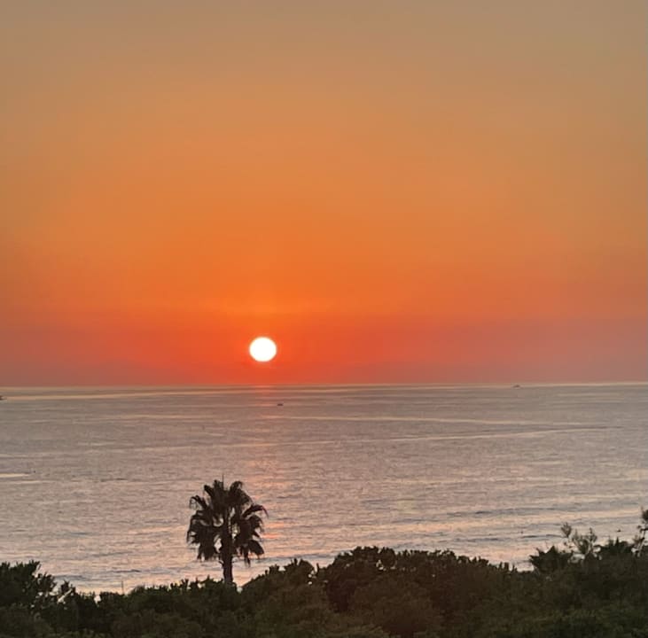 Ausblick Gardenia Hotel