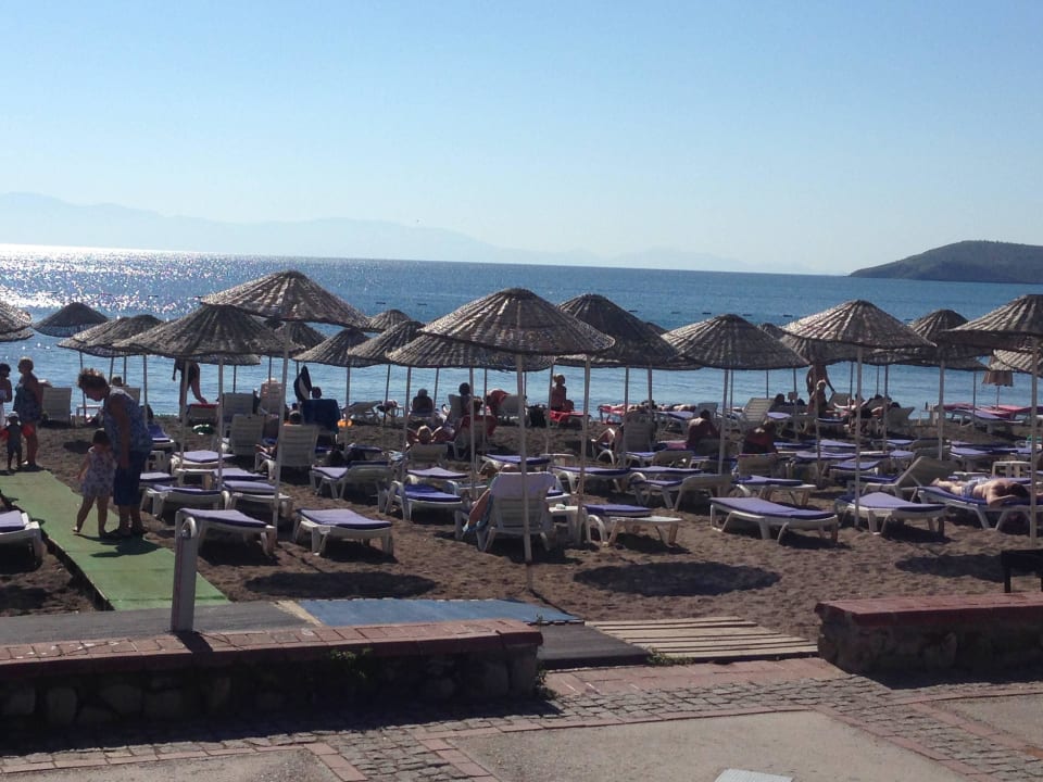 Beach  Petunya Beach Resort