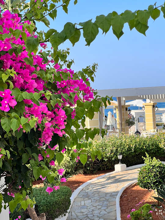 Sonstiges Alexander Beach Hotel & Village Resort