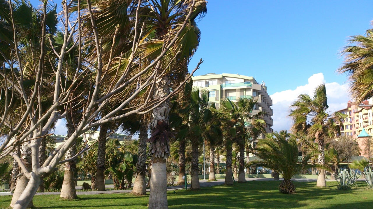 Schöner großer Garten VONRESORT Golden Coast