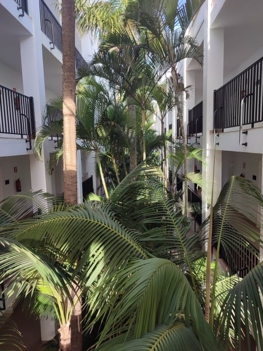 Gartenanlage Hotel Riu Palace Meloneras