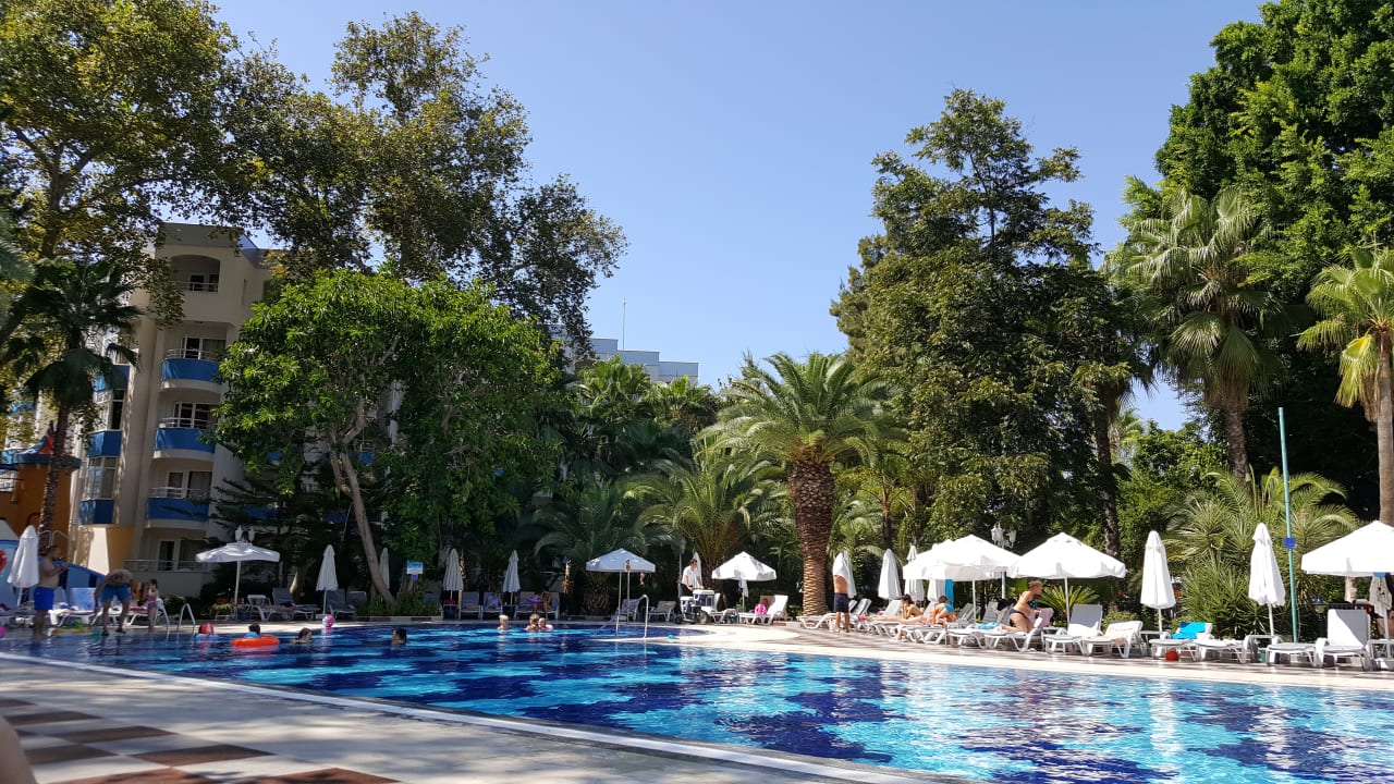 Pool Hotel Botanik Platinum