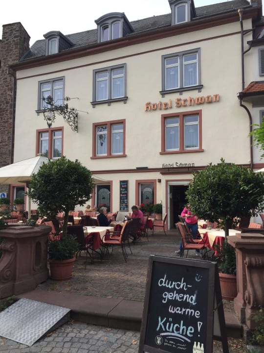 Ein Schwan am Main Hotel Schwan