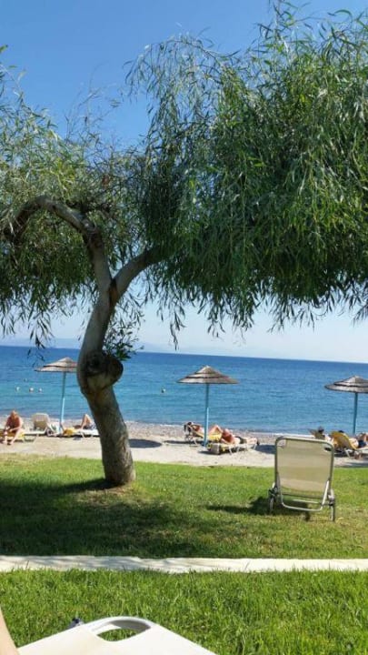 Strand TUI BLUE Oceanis Beach and Spa Resort