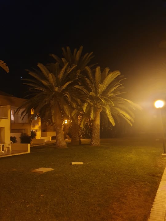 Gartenanlage Hotel Riu Oliva Beach - Hotel