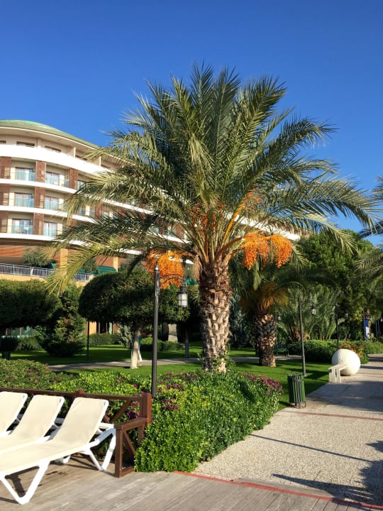 Weihnachten im Voyage  Voyage Belek Golf & Spa
