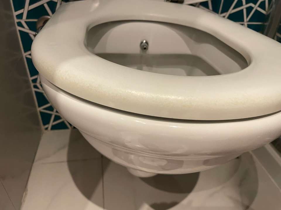 Zimmer PALOMA Perissia