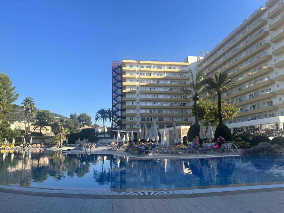 Pool BQ Belvedere Hotel