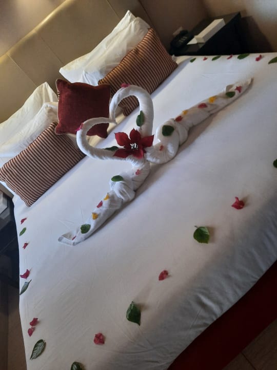 Zimmer Jaz Makadi Oasis Resort