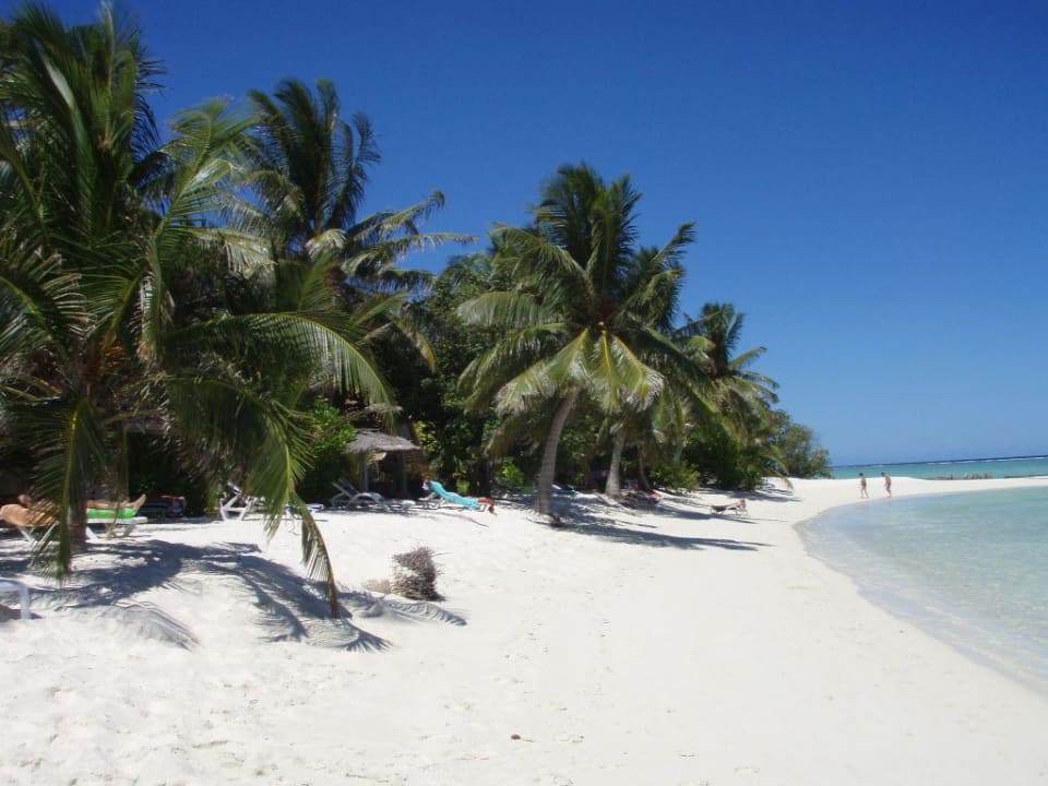 Eine Insel wie im Paradies Summer Island Maldives
