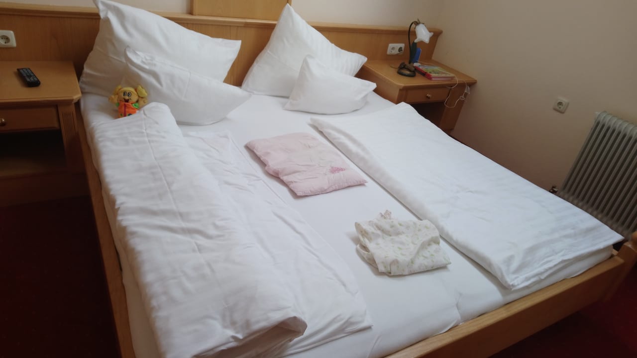 Zimmer Alpina Alpendorf