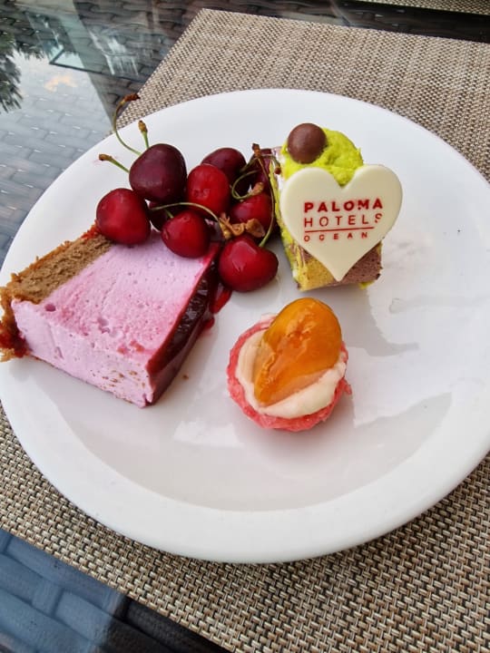 Gastro Paloma Oceana