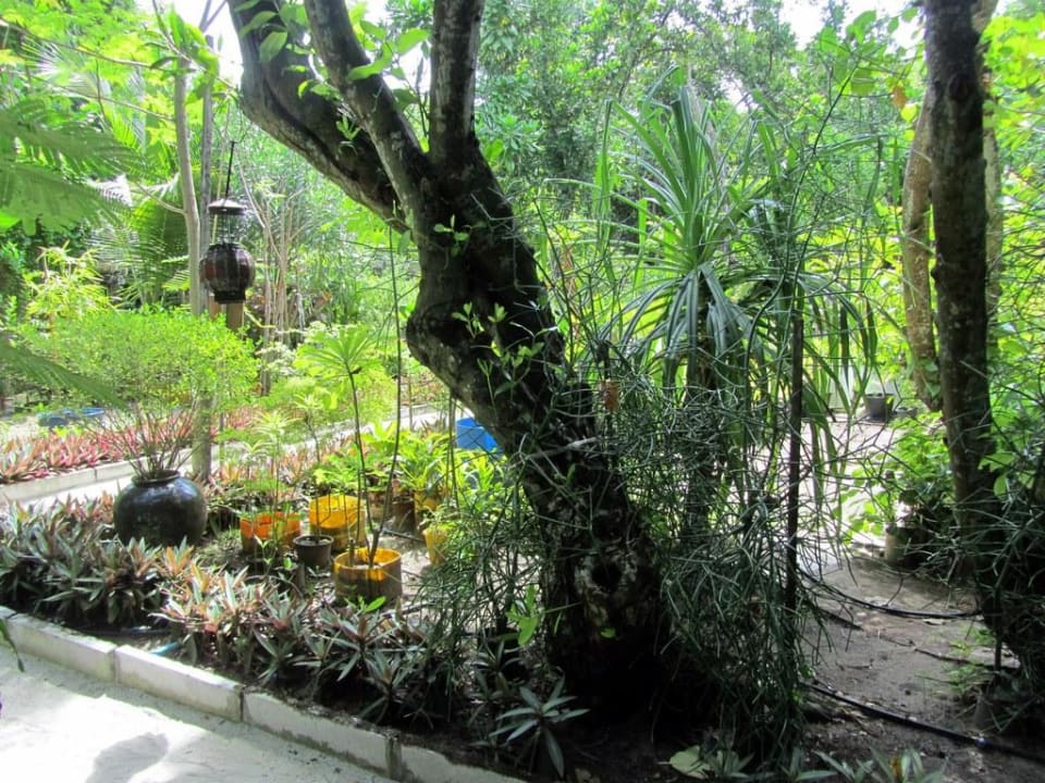 Reethi Garden NH Collection Maldives Reethi Resort