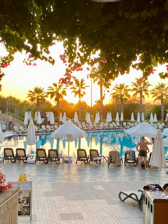 Pool Alba Resort Hotel