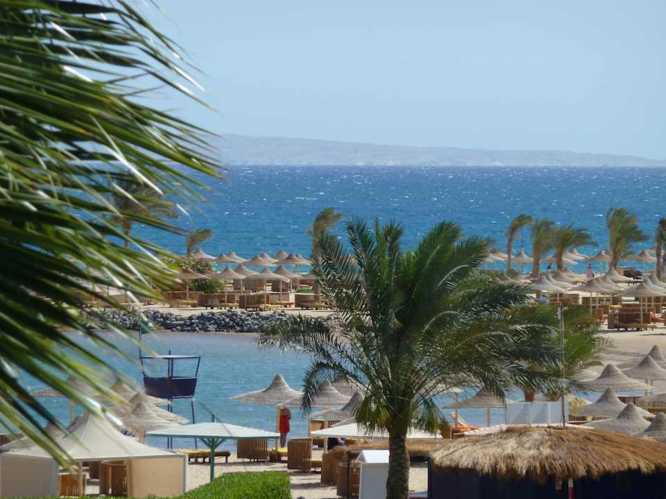 Ausblick Desert Rose